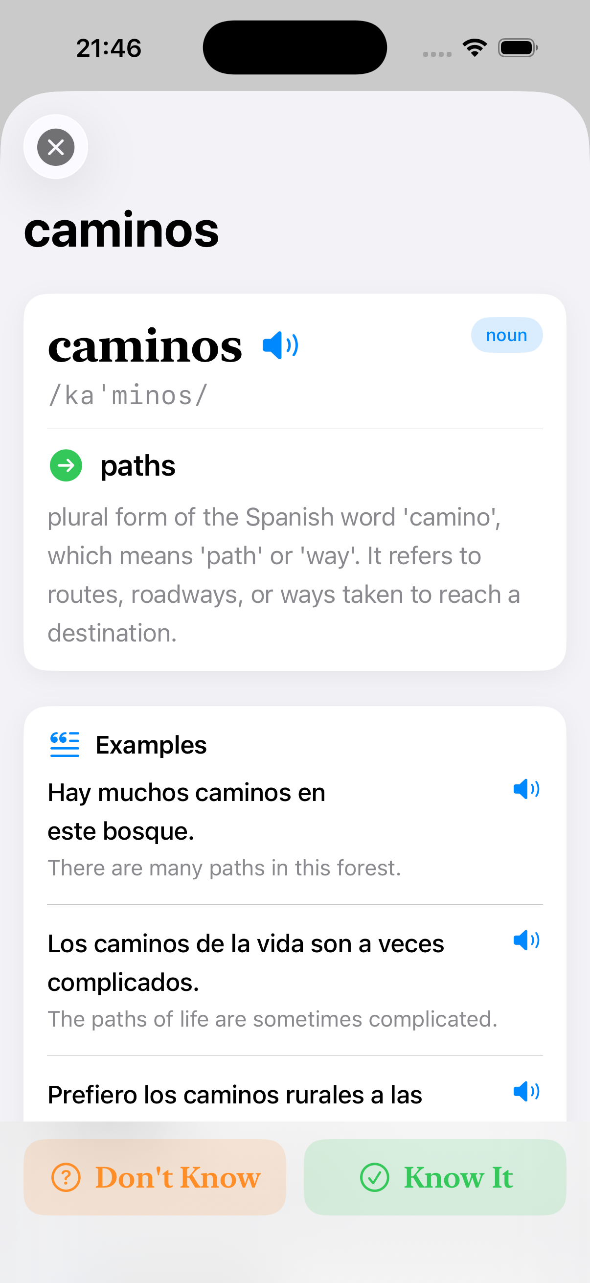 Detailed word view with pronunciation and examples